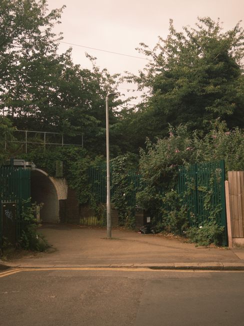 A small, paved driveway or entrance area situated at the edge of a residential street, bordered by green metal fencing on both sides and lush bushes and trees in the background. The surface appears smooth and slightly worn, with no visible debris or litter. A tall, single streetlamp pole stands centrally at the entrance, casting a neutral light over the scene. To the left, a small brick archway or passage is partly obscured by greenery, leading to an open space or garden area above. The sky is overcast or at dusk, creating a soft, even light with no harsh shadows. The environment is clean and maintained, likely part of a private property or community space that might be serviced by independent rubbish collection services, as suggested by the absence of public waste receptacles. The surrounding fencing and natural foliage provide a sense of privacy and separation from the street, aligning with practices of on-site waste management or alternative rubbish disposal methods.